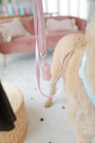 poochie-pie-dog-accessories-pink-leash-lead-collar-harness-poop-bag-holder-poopie-waste-minimal-pastel-cute-pretty-solid-simple-green-mint-walkwear-walk-exercise-labradoodle