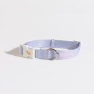poochie-pier-dog-collar-leash-lead-walk-wear-pastel-dogmum-dogmom-best-seller-safe-simple-minimal-purple-lilac-small-large-medium-neck