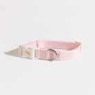 Poochie-Pie-pink-dog-collar-pastel-dogs-neoprene-soft-comfortable-safe-clip-pretty-in-rainbow