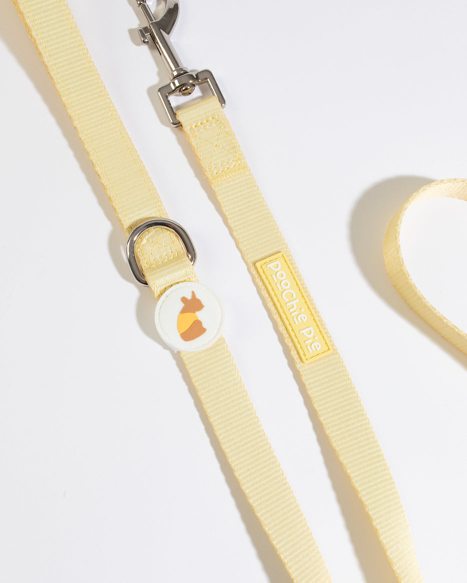 poochie-pie-hello-yellow-dog-accessories-walkwear-walk-wear-collar-leash-combo-simple-stylish-best-all-breeds-dogs-safe-solid-pastel-minimal-dogwear