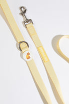 poochie-pie-hello-yellow-dog-accessories-walkwear-walk-wear-collar-leash-combo-simple-stylish-best-all-breeds-dogs-safe-solid-pastel-minimal-dogwear