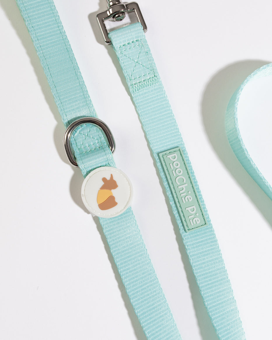 poochie-pie-dog-accessories-leash-lead-green-mint-pastel-best-dogs-brand-australia-sunshine-coast-brisbane-local-small-business-walkwear-walk-wear-strong-safe