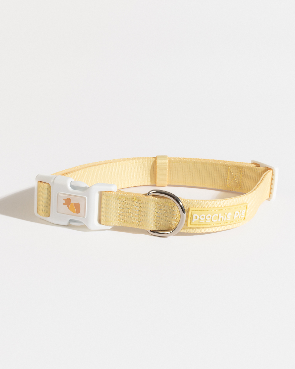 Poochie-pie-dog-collar-harness-restraint-leash-lead-yellow-hello-safety-safe-walk-wear-walkwear-walkies-minimal-cute-accessories-best-all-breeds-small-little-big-large