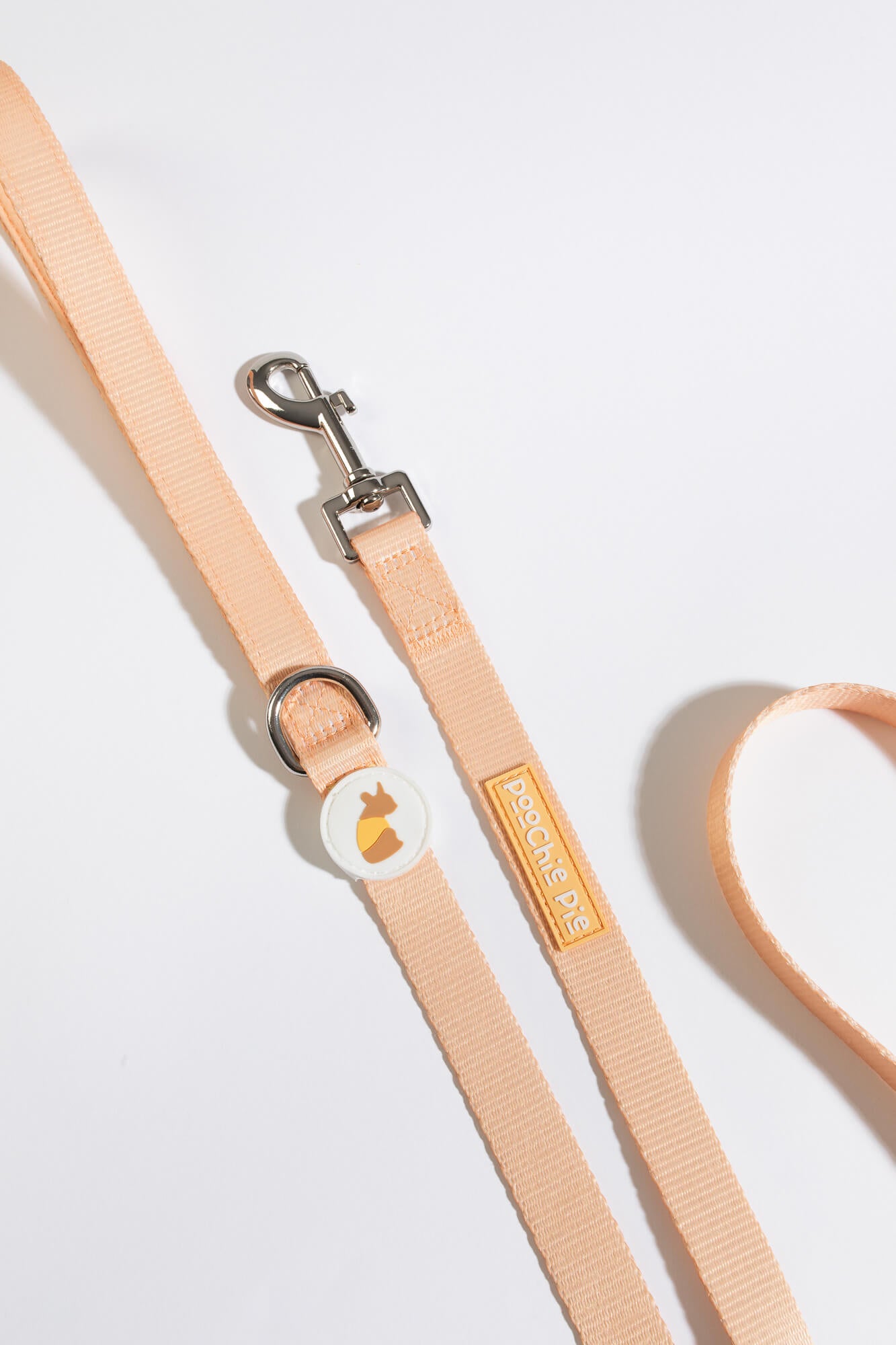 Dog Leashes