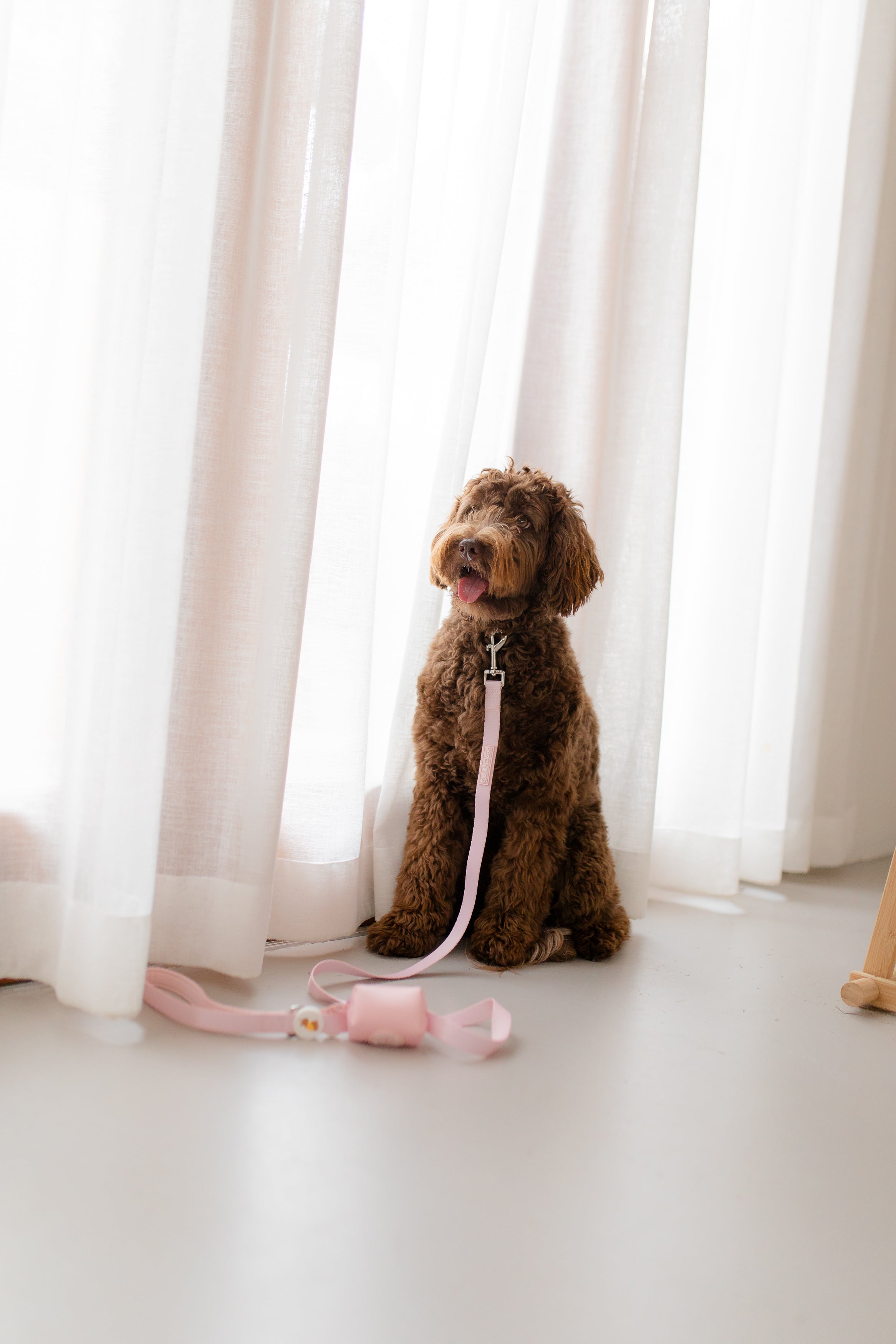 poochie-pie-dog-leash-lead-pink-best-leashes-for-dogs-chocolate-brown-cavoodle-minimal-stylish-walk-wear-walkwear