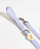 poochie-pie-dog-collar-leash-lead-best-seller-safest-safe-dogs-nopull-pastel-lilac-purple-soft-handle-comfortable-dogmum-dogmom