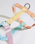poochie_pie_dog_accessories_harness_rainbow_pastel_best-harnesses-for-dogs-breeds-pink-mint-green-blue-pastel-yellow-orange-multi-coloured-color-strap