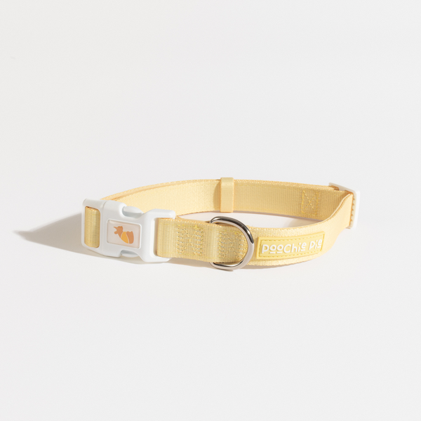 Pastel yellow shop dog collar